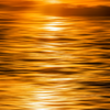 Alaskan Golden Hour